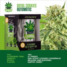 IGROWCAN - Royal Cookies Auto